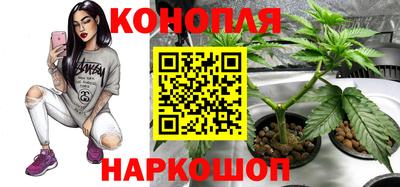 гидропоника Ярцево