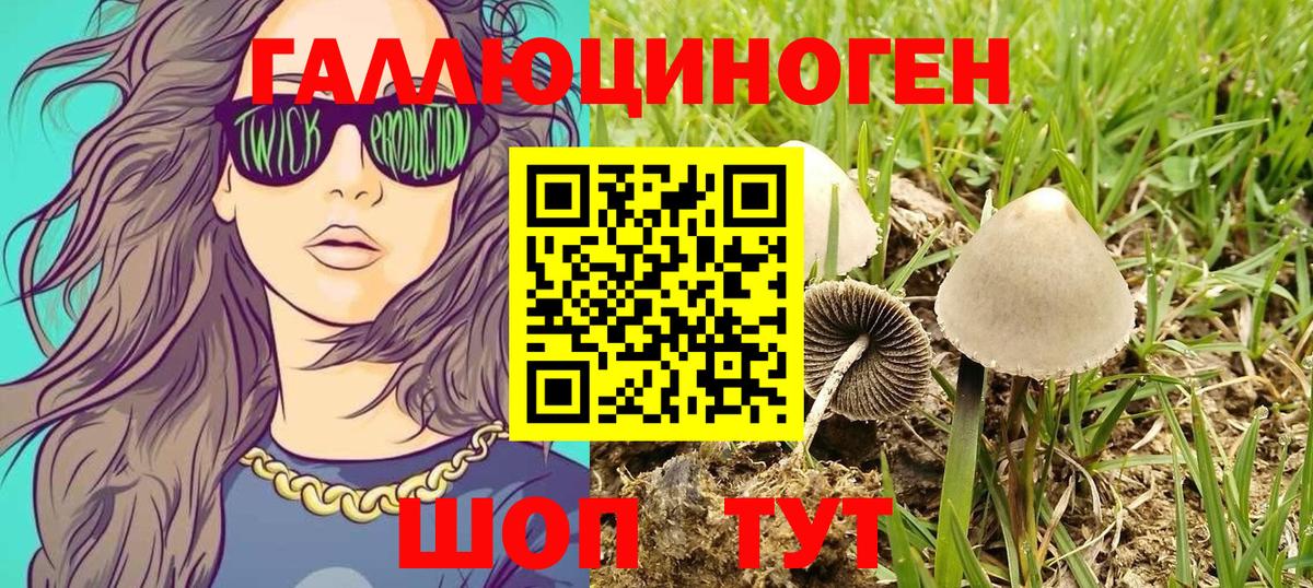 Слободской  Галлюциногенные грибы ЛСД  Псилоцибиновые грибы прущие грибы  Вход с VPN 